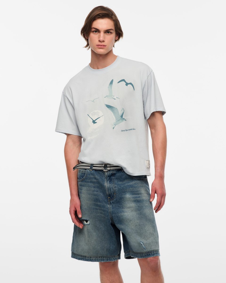 1989 (Taylor's Version) Seagull Boxy T-Shirt